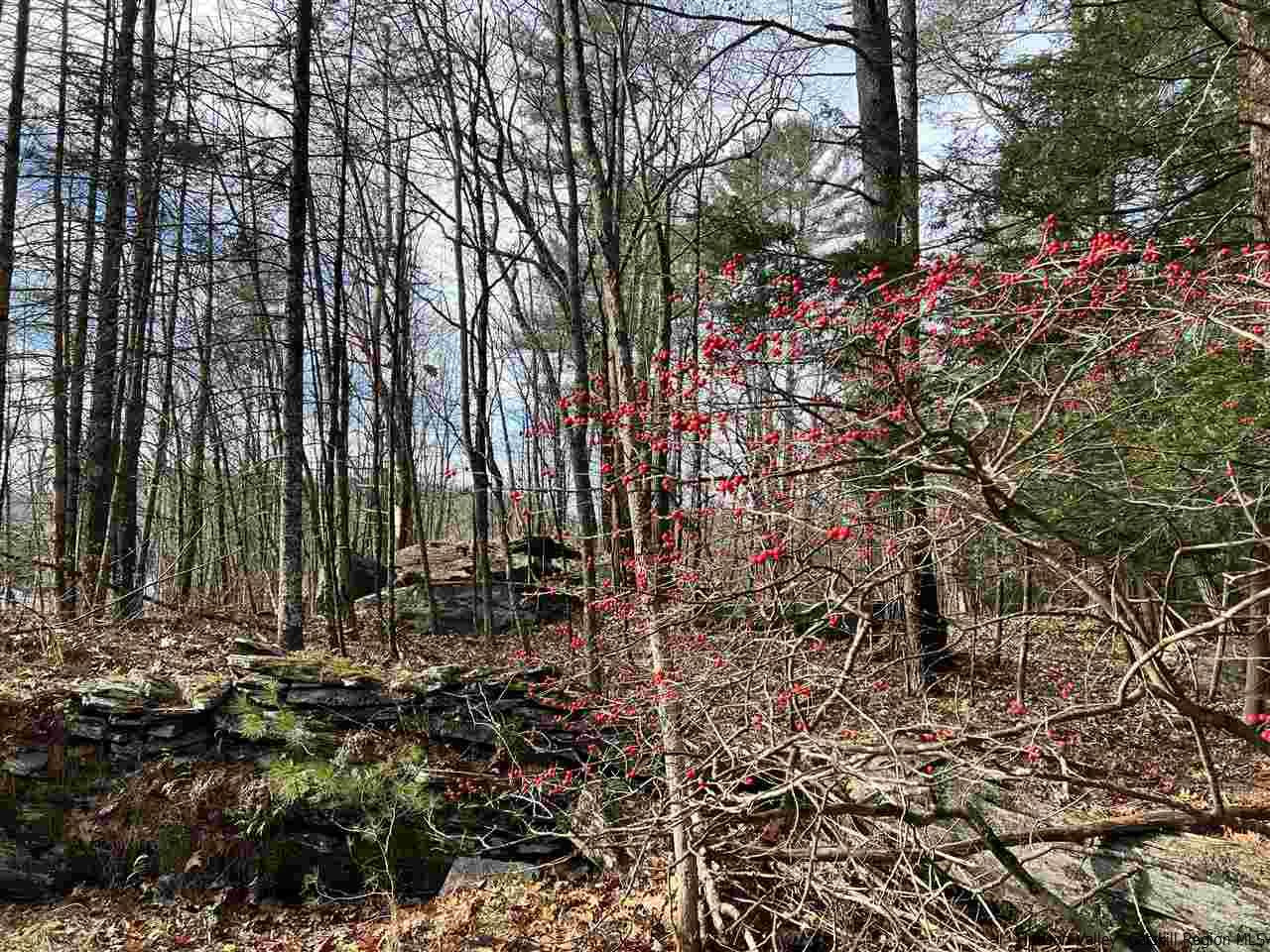 Tbd Tbd Samsonville Road, Unit COUNTY ROUTE 3 Olivebridge, NY 12461 - Photo 23 of 29 Photo 23