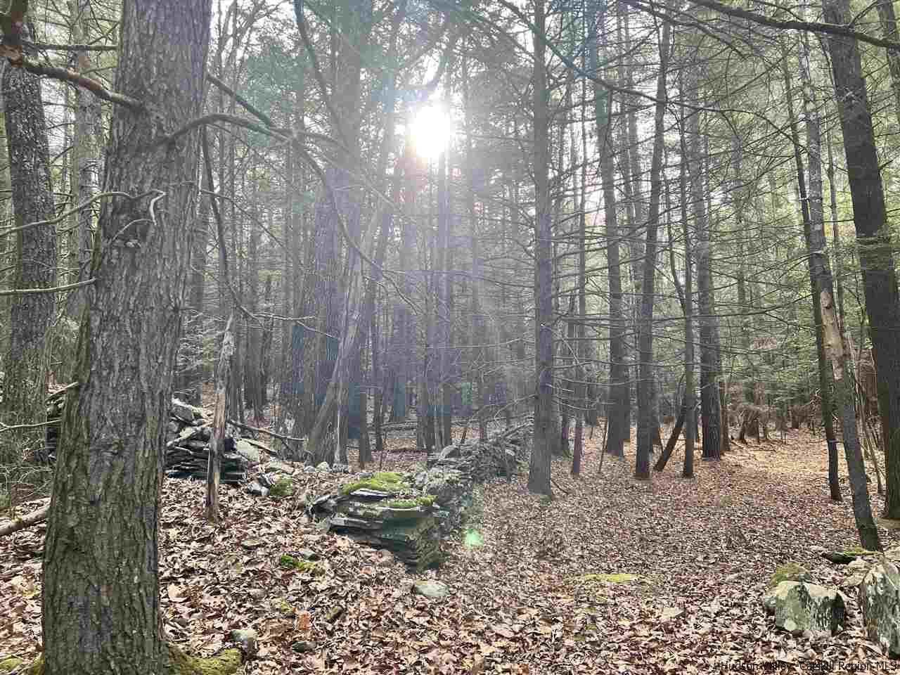 Tbd Tbd Samsonville Road, Unit COUNTY ROUTE 3 Olivebridge, NY 12461 - Photo 25 of 29 Photo 25