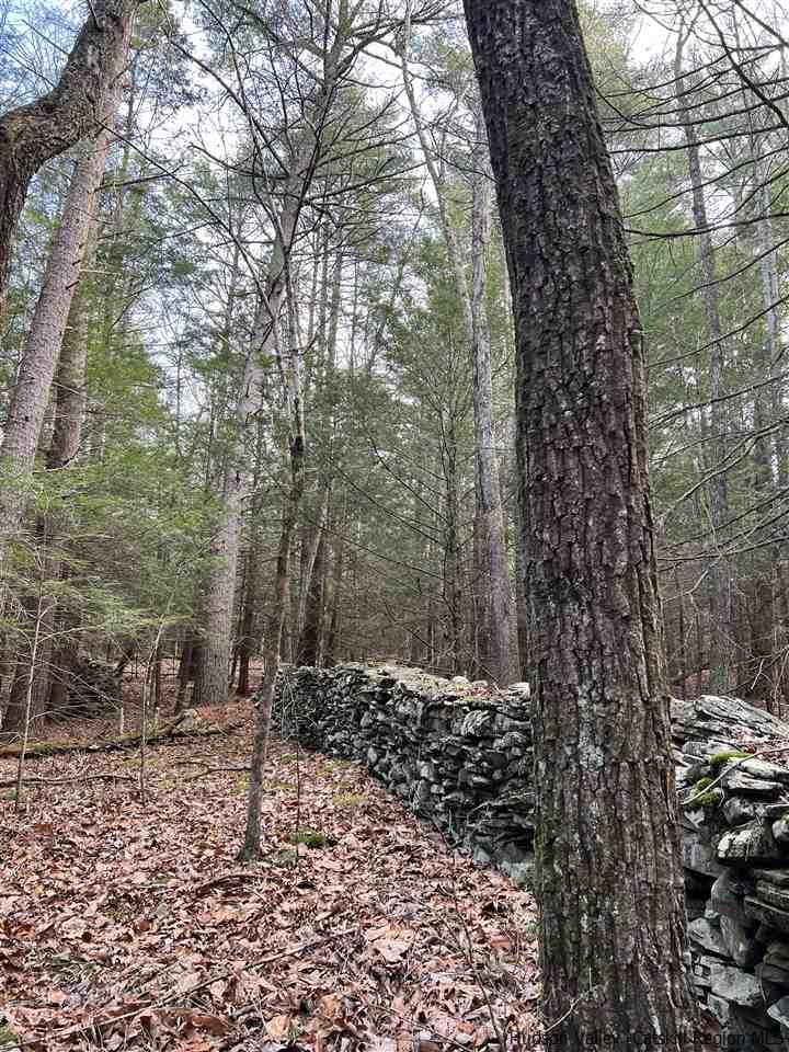 Tbd Tbd Samsonville Road, Unit COUNTY ROUTE 3 Olivebridge, NY 12461 - Photo 27 of 29 Photo 27
