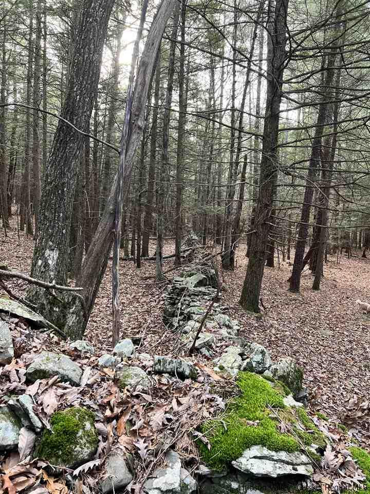 Tbd Tbd Samsonville Road, Unit COUNTY ROUTE 3 Olivebridge, NY 12461 - Photo 28 of 29 Photo 28