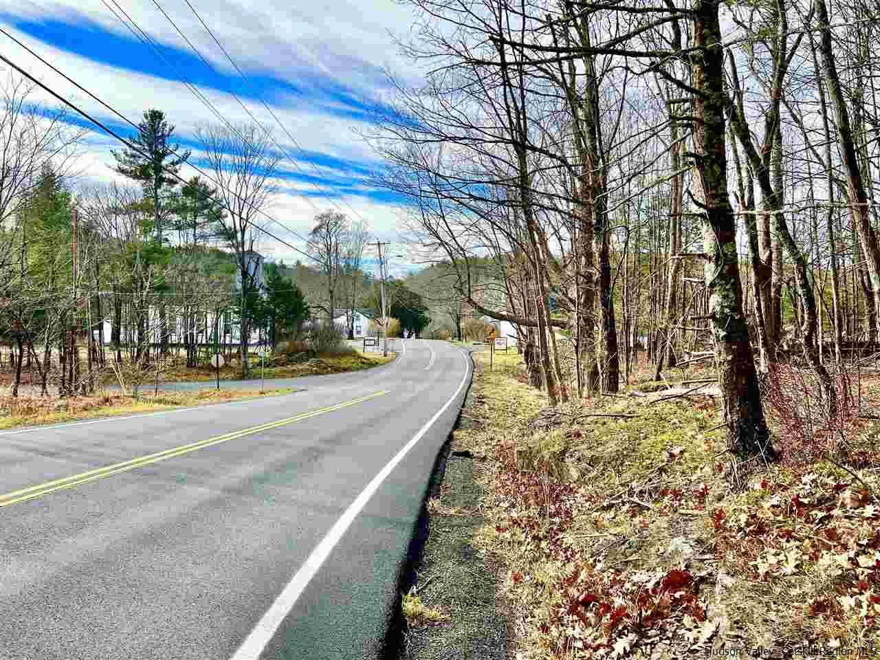 Tbd Tbd Samsonville Road, Unit COUNTY ROUTE 3 Olivebridge, NY 12461 - Photo 3 of 29 Photo 3