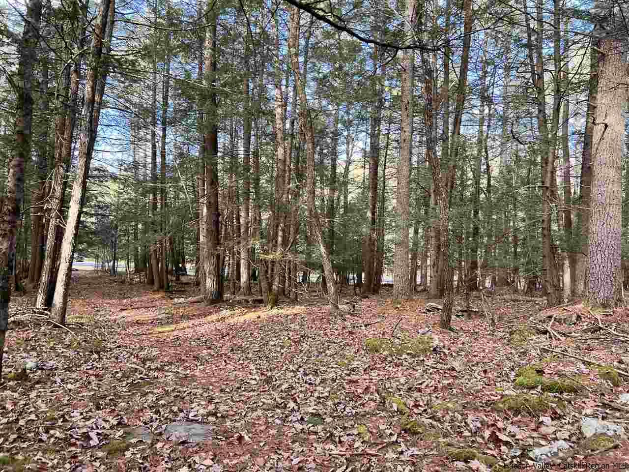Tbd Tbd Samsonville Road, Unit COUNTY ROUTE 3 Olivebridge, NY 12461 - Photo 4 of 29 Photo 4