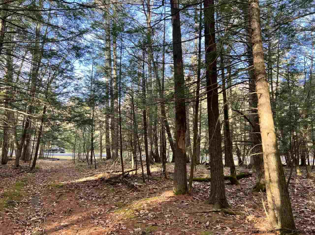 Tbd Tbd Samsonville Road, Unit COUNTY ROUTE 3 Olivebridge, NY 12461 - Photo 5 of 29 Photo 5