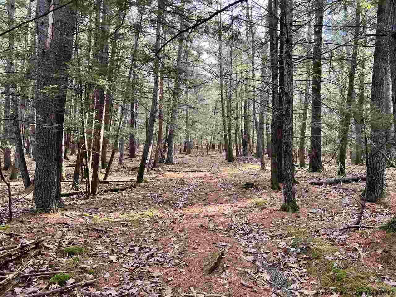 Tbd Tbd Samsonville Road, Unit COUNTY ROUTE 3 Olivebridge, NY 12461 - Photo 7 of 29 Photo 7