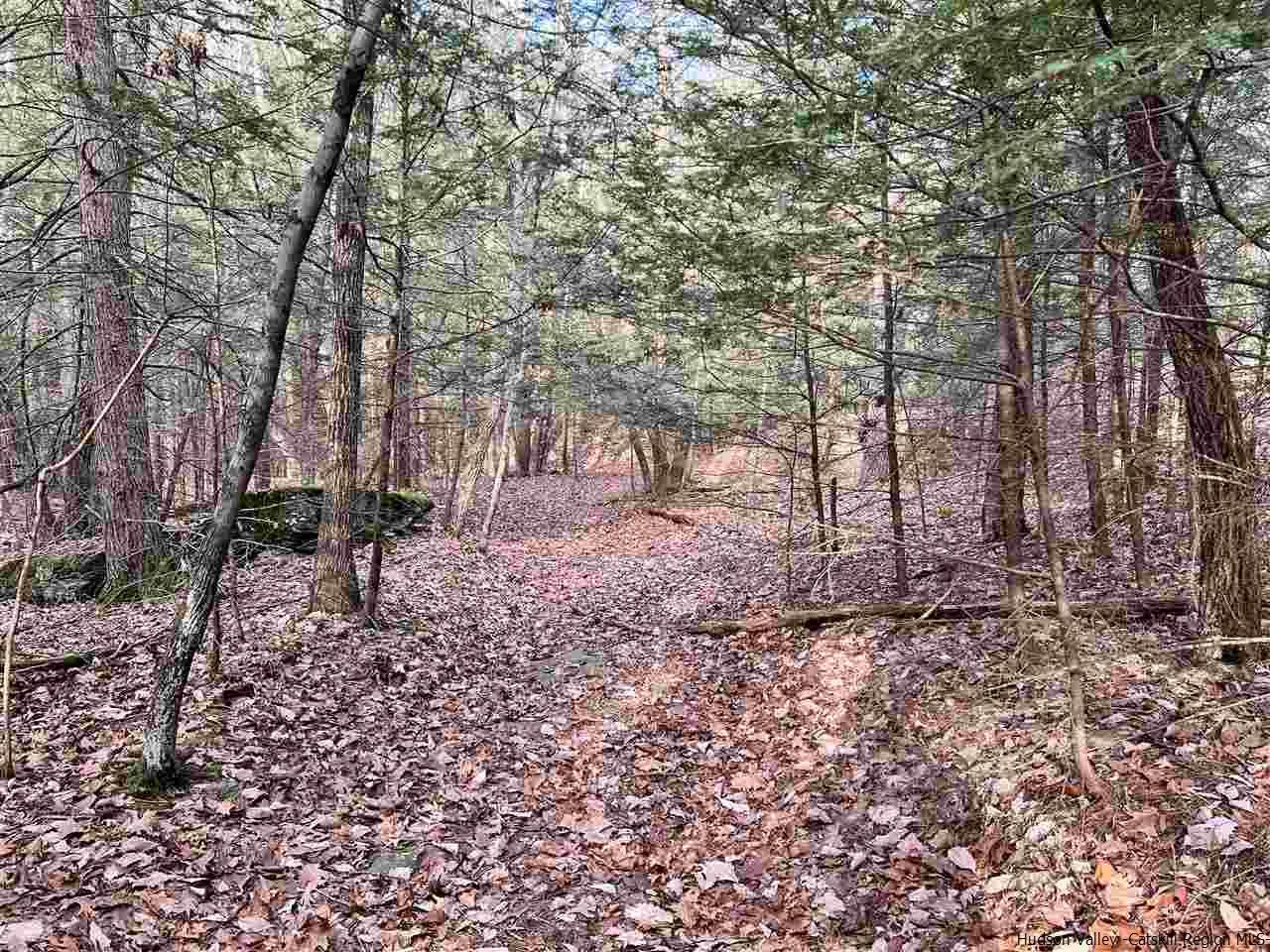 Tbd Tbd Samsonville Road, Unit COUNTY ROUTE 3 Olivebridge, NY 12461 - Photo 8 of 29 Photo 8