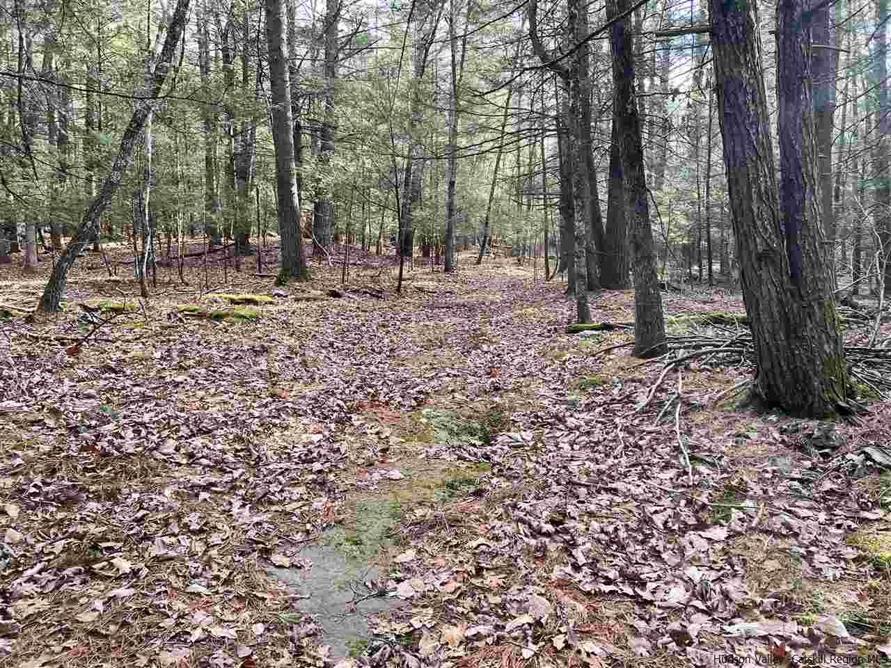 Tbd Tbd Samsonville Road, Unit COUNTY ROUTE 3 Olivebridge, NY 12461 - Photo 9 of 29 Photo 9