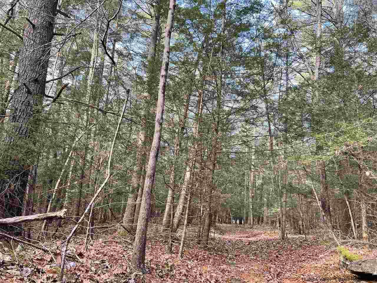 Tbd Tbd Samsonville Road, Unit COUNTY ROUTE 3 Olivebridge, NY 12461 - Photo 10 of 29 Photo 10