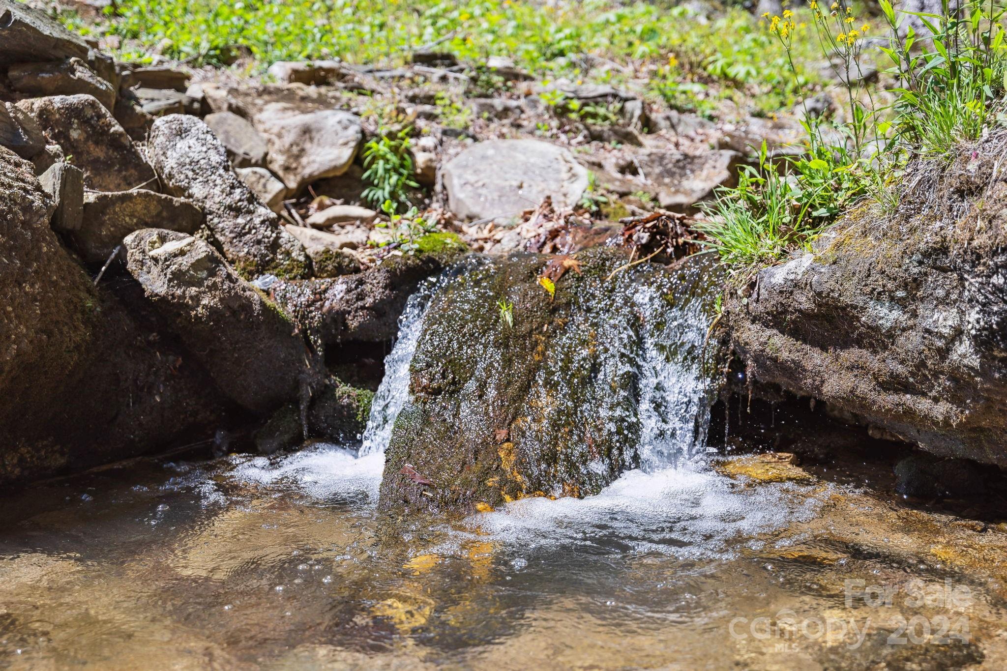 5712 Summit Road Purlear, NC 28665 - Photo 42 of 48 a view of a yard with plants and trees