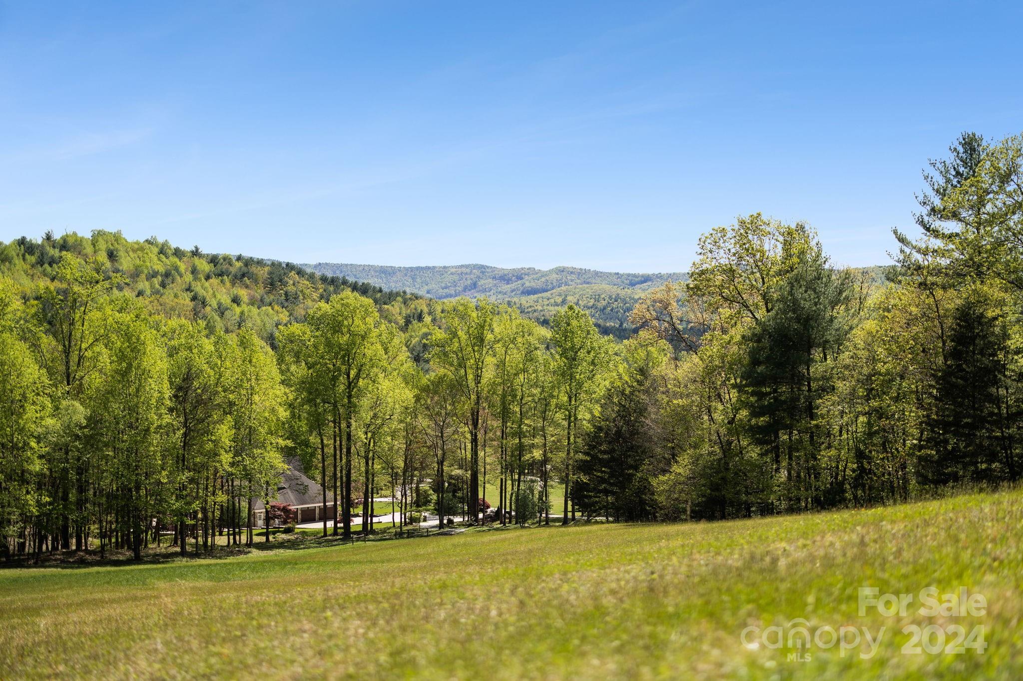 5712 Summit Road Purlear, NC 28665 - Photo 44 of 48 a view of swimming pool and trees in the background