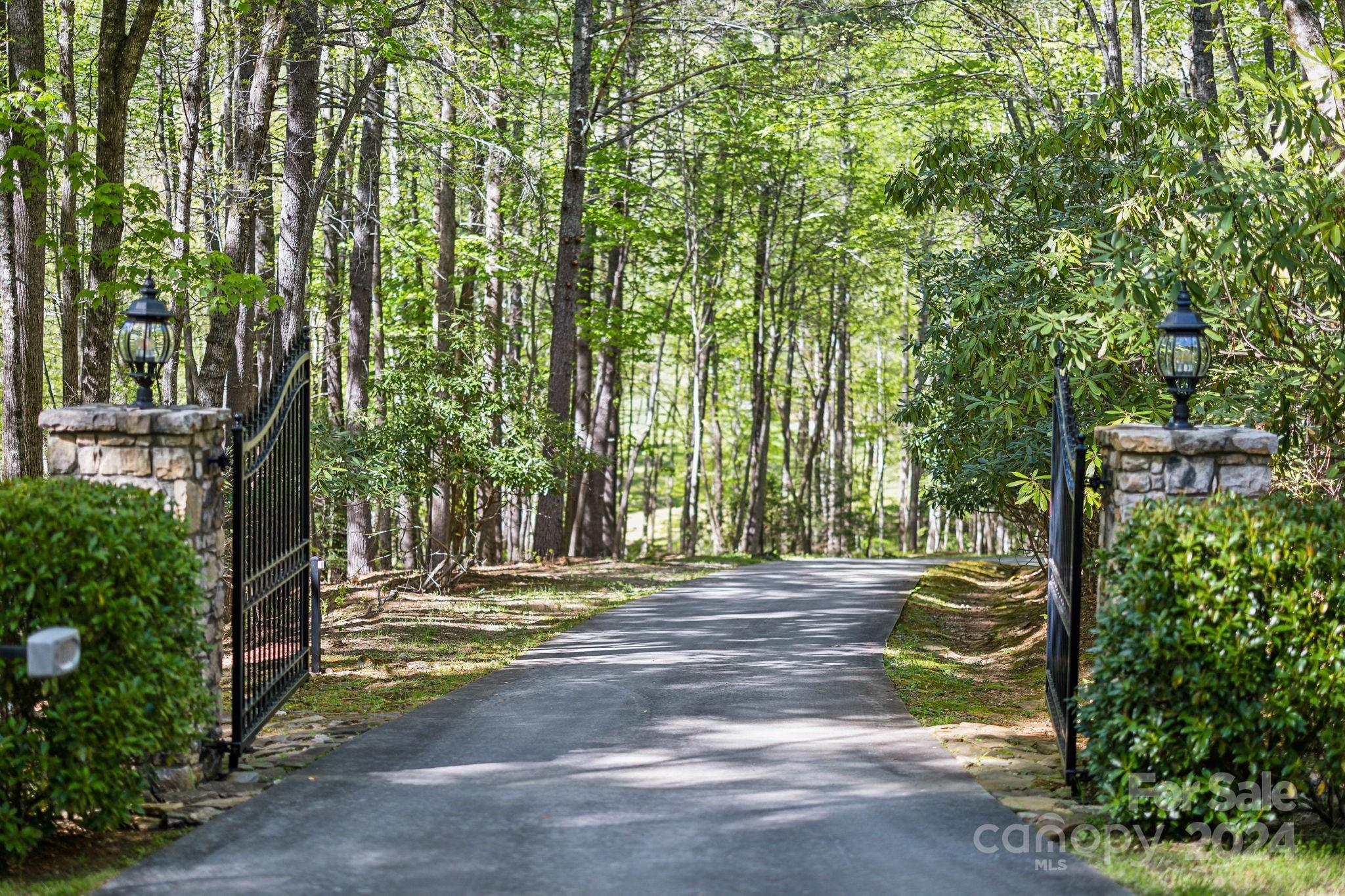 5712 Summit Road Purlear, NC 28665 - Photo 47 of 48 a view of a yard with large trees