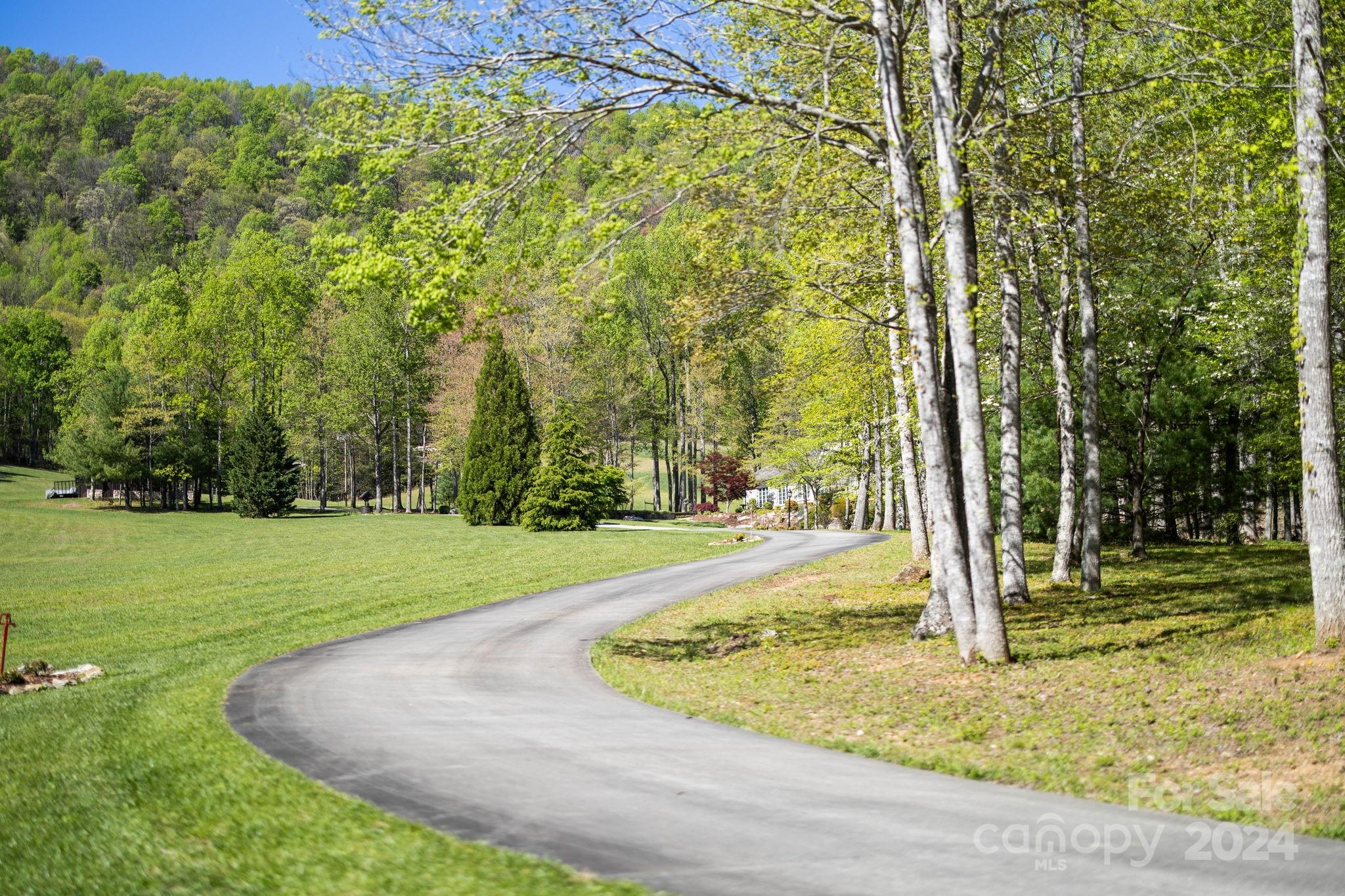 5712 Summit Road Purlear, NC 28665 - Photo 48 of 48 a view of a yard with basketball court