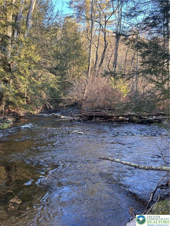 444 Lower Middle Creek Road Kunkletown, PA 18058 - Photo 1 of 14 a view of dirt yard with a large tree