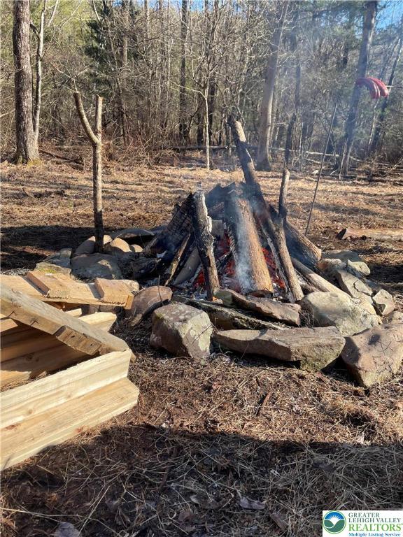 444 Lower Middle Creek Road Kunkletown, PA 18058 - Photo 2 of 14 a view of a yard with wooden fence