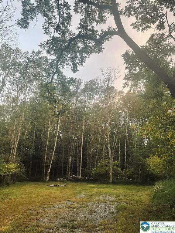 444 Lower Middle Creek Road Kunkletown, PA 18058 - Photo 3 of 14 a view of a swimming pool with a yard