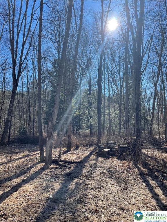 444 Lower Middle Creek Road Kunkletown, PA 18058 - Photo 5 of 14 a view of a backyard with trees