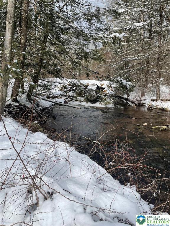 444 Lower Middle Creek Road Kunkletown, PA 18058 - Photo 8 of 14 a view of a backyard of the house