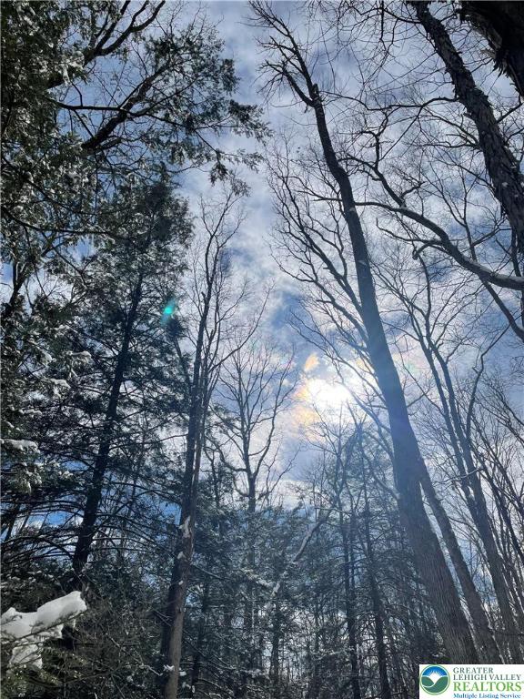 444 Lower Middle Creek Road Kunkletown, PA 18058 - Photo 9 of 14 a backyard of a house with lots of trees