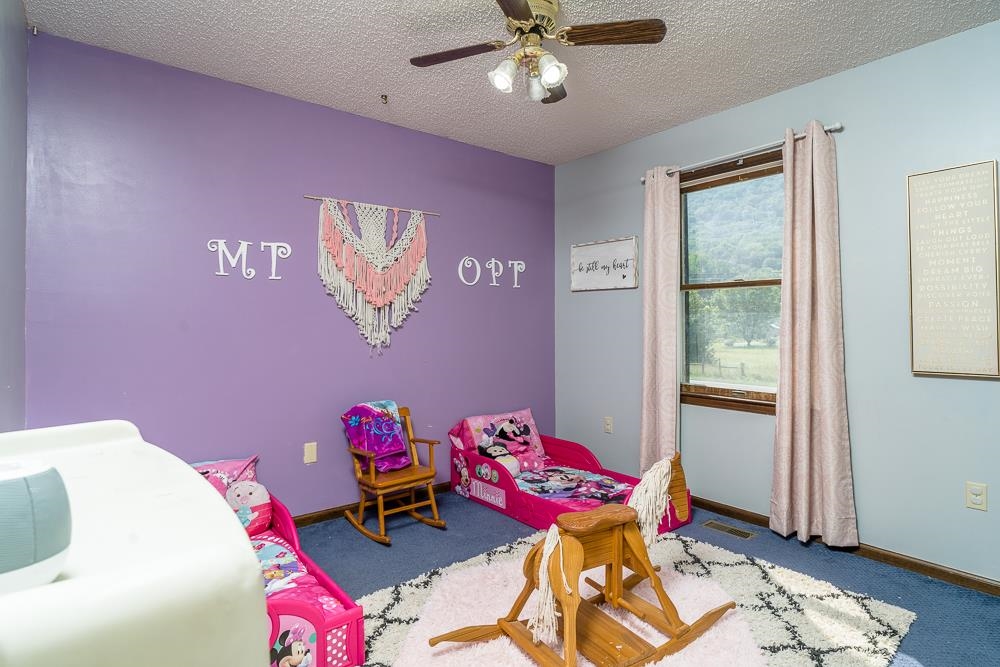 13524 Little Dry River Road Fulks Run, VA 22830 - Photo 17 of 25 Gallery Image 17