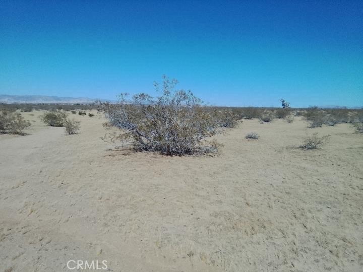 60820 Summers Road Landers, CA 92285 - Photo 7 of 8