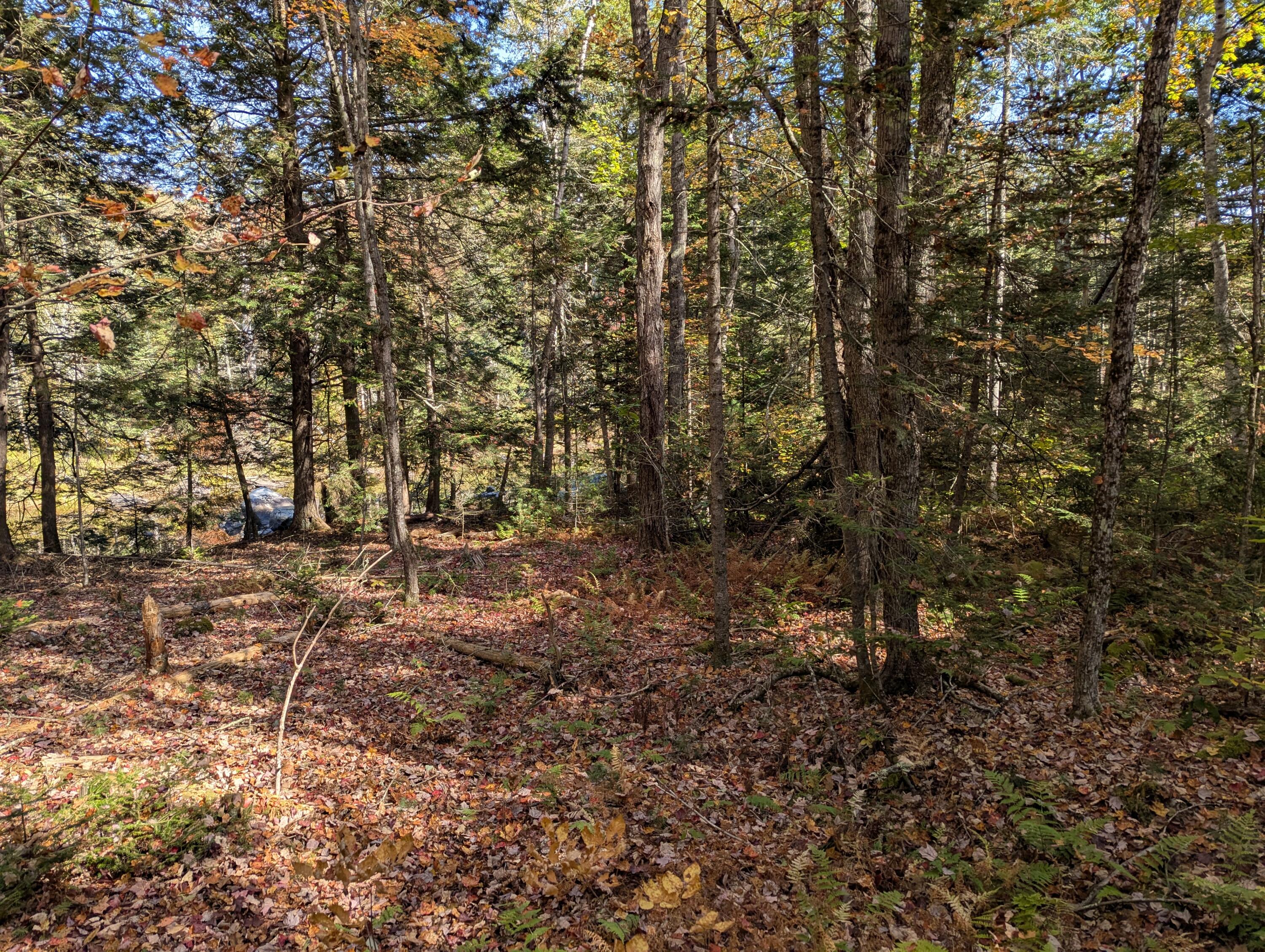 755 Winslows Mills Road Waldoboro, ME 04572 - Photo 8 of 18 PXL_20251004_154531008