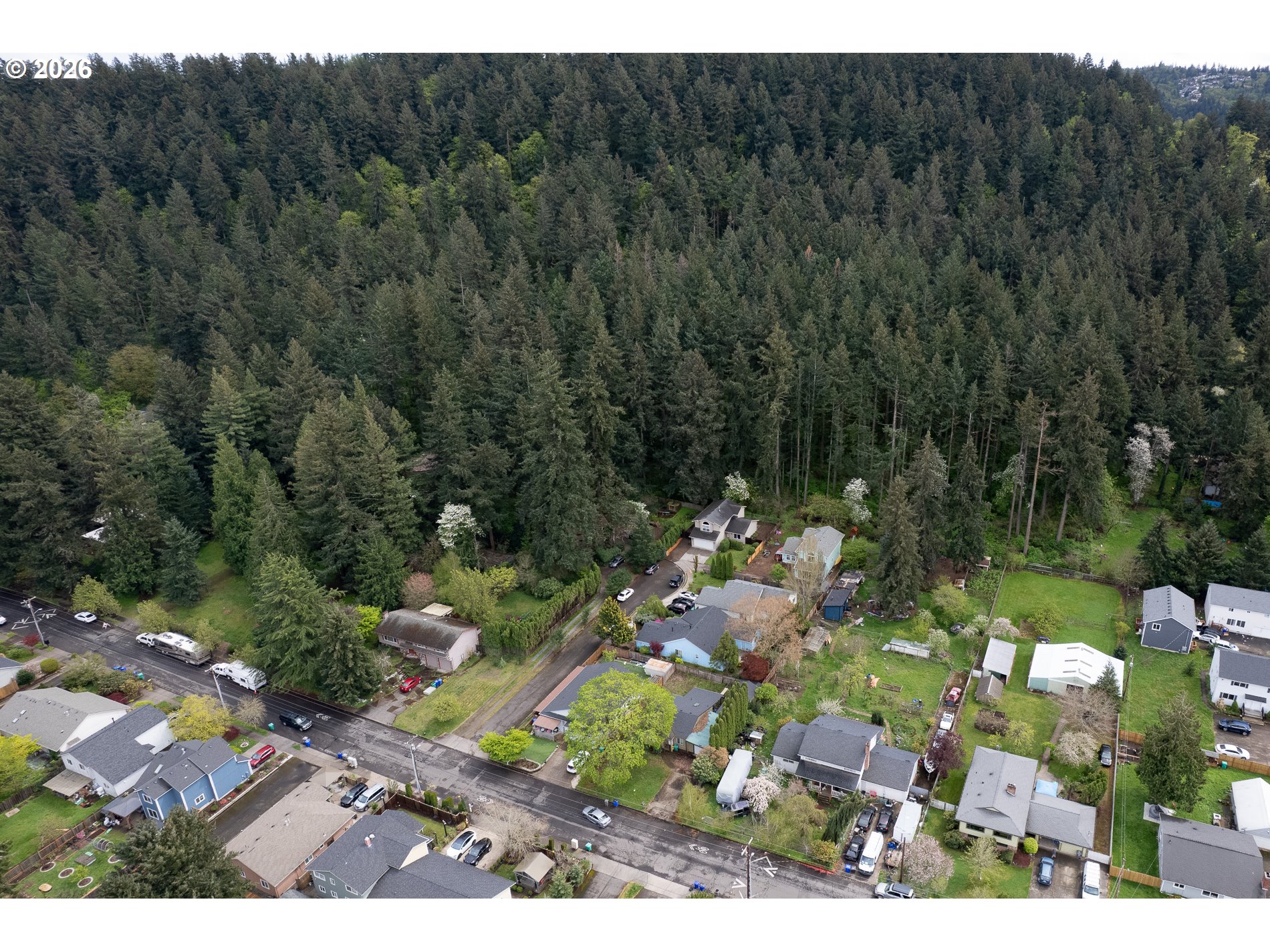 14300 Southeast Center Street Portland, OR 97236 - Photo 44 of 48 a view of a forest with a street