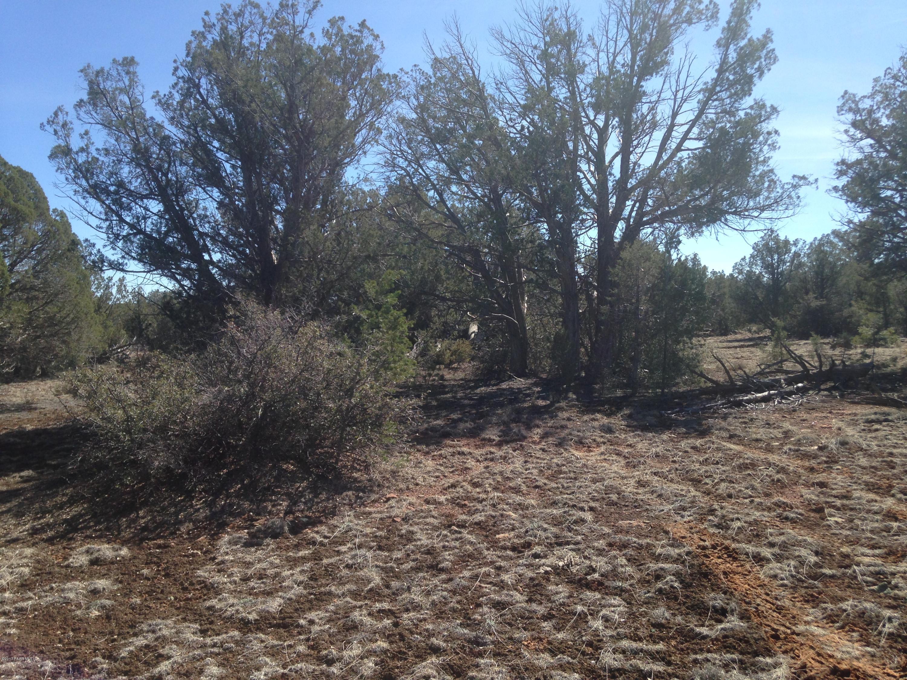 81 Howling Wolf Road Ash Fork, AZ 86320 - Photo 5 of 6 IMG_3489