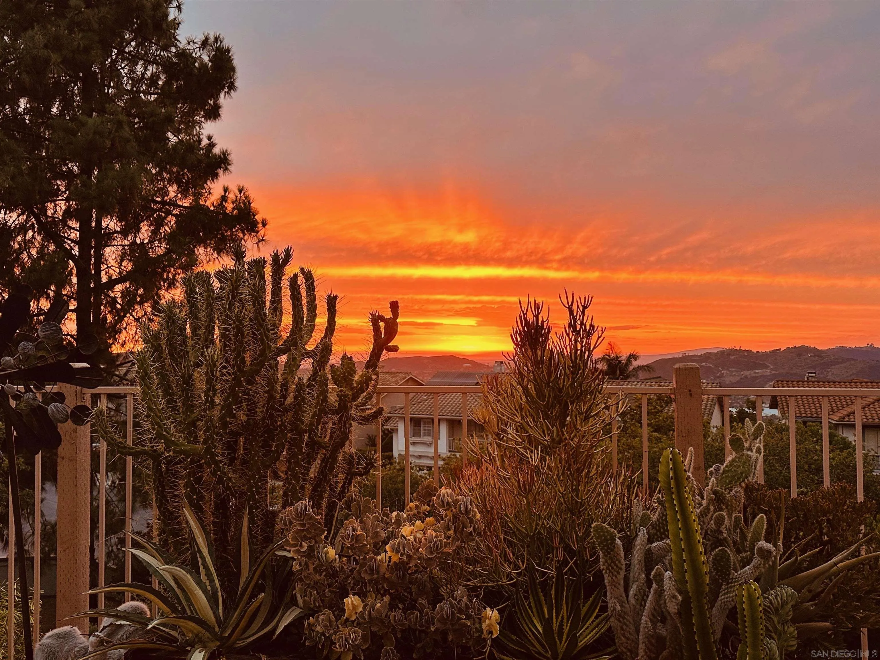 2352 Rock Crest Glen Escondido, CA 92026 - Photo 6 of 48 a view of a city with lush green forest