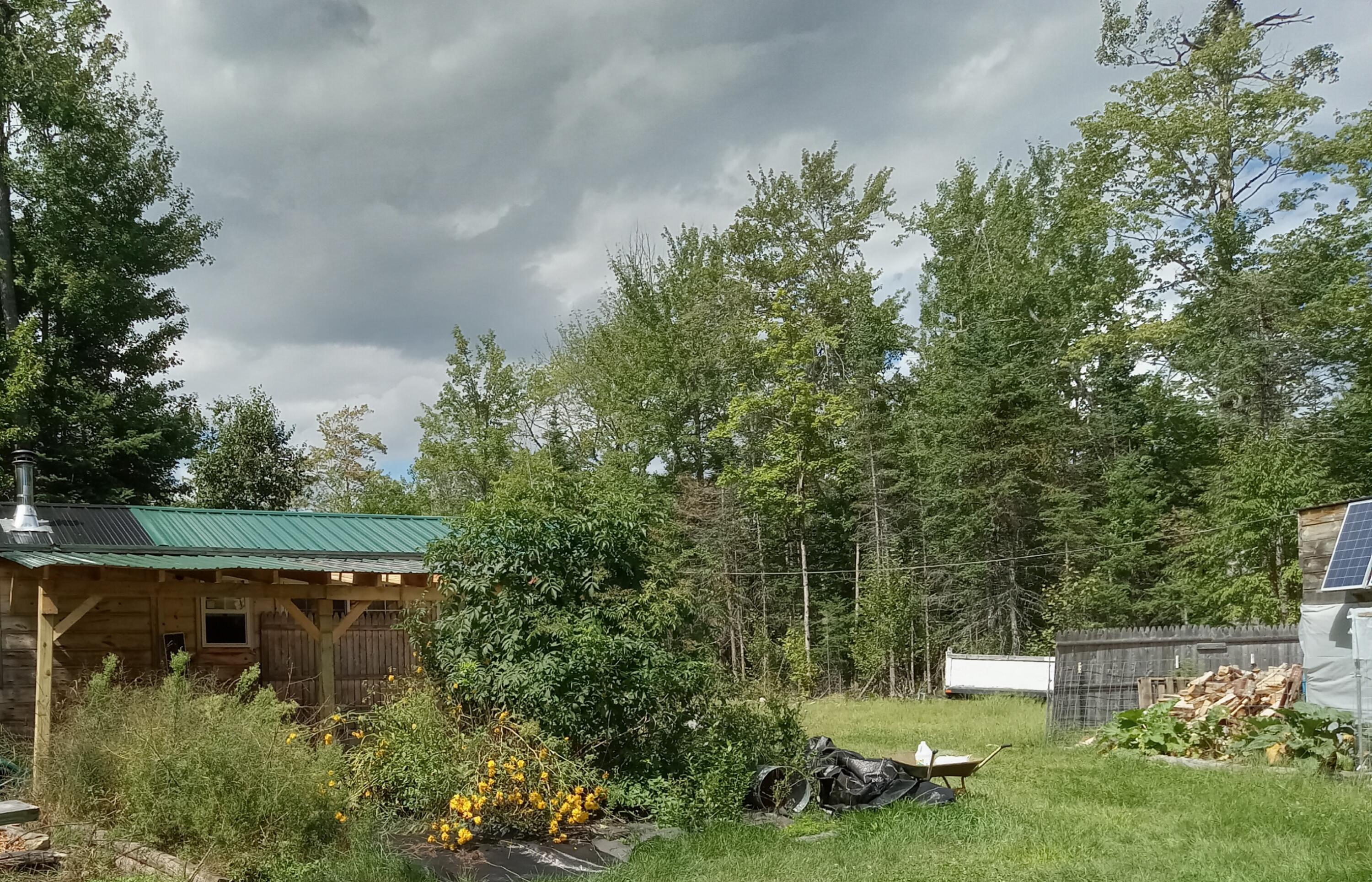 Back yard looking in