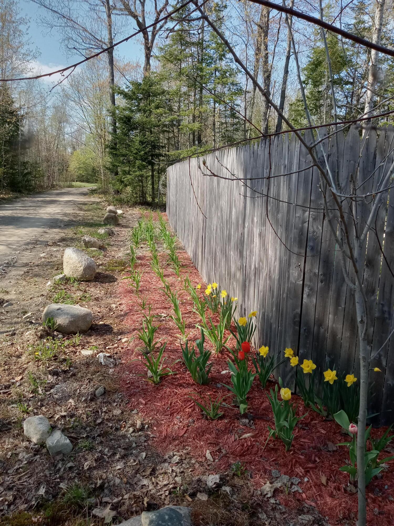 124 Young Lane Burnham, ME 04922 - Photo 15 of 40 Landscape along privacy fence