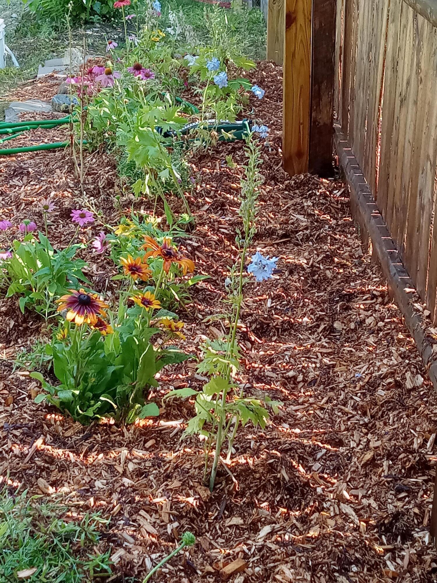 124 Young Lane Burnham, ME 04922 - Photo 16 of 40 flowers will be coming!