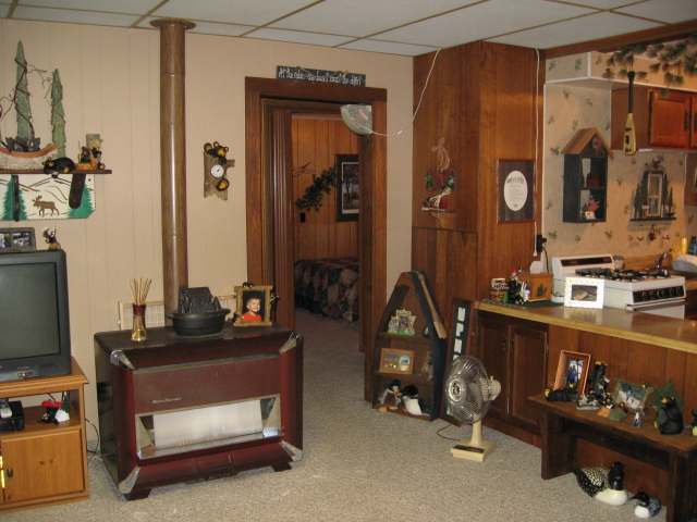 198 Manitowish Rvr Manitowish Waters, WI 54545 - Photo 8 of 16 Gallery Image 8