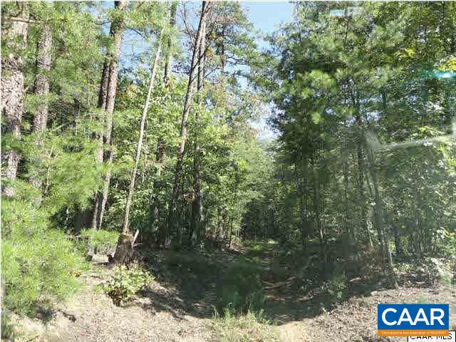 26 Jacoby Road Louisa, VA 23093 - Photo 1 of 3 a view of a forest with a tree