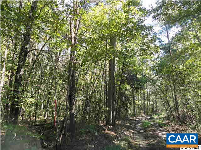 26 Jacoby Road Louisa, VA 23093 - Photo 2 of 3 a view of forest