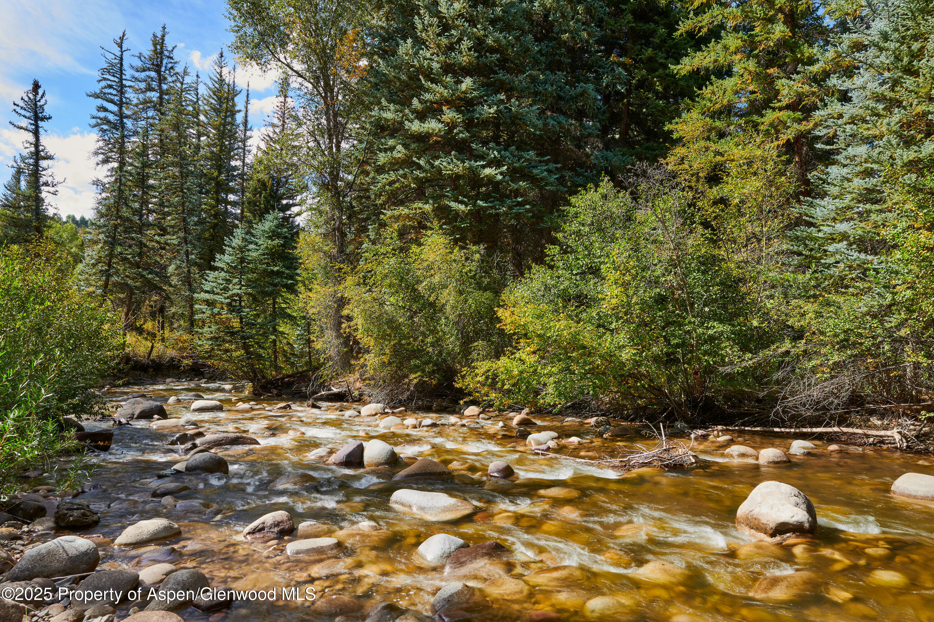 1900-1470 Snowmass Creek Road Snowmass, CO 81654 - Photo 59 of 105 a view of a large yard with plants and large trees