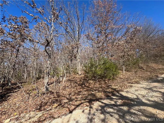 $3,800 | Lot 92 Illinois Lane, Rocky Mount, MO 65072