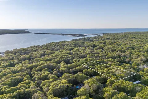 a view of a field with an ocean