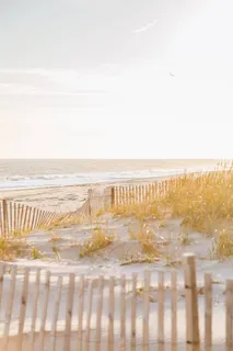 a view of an ocean and beach
