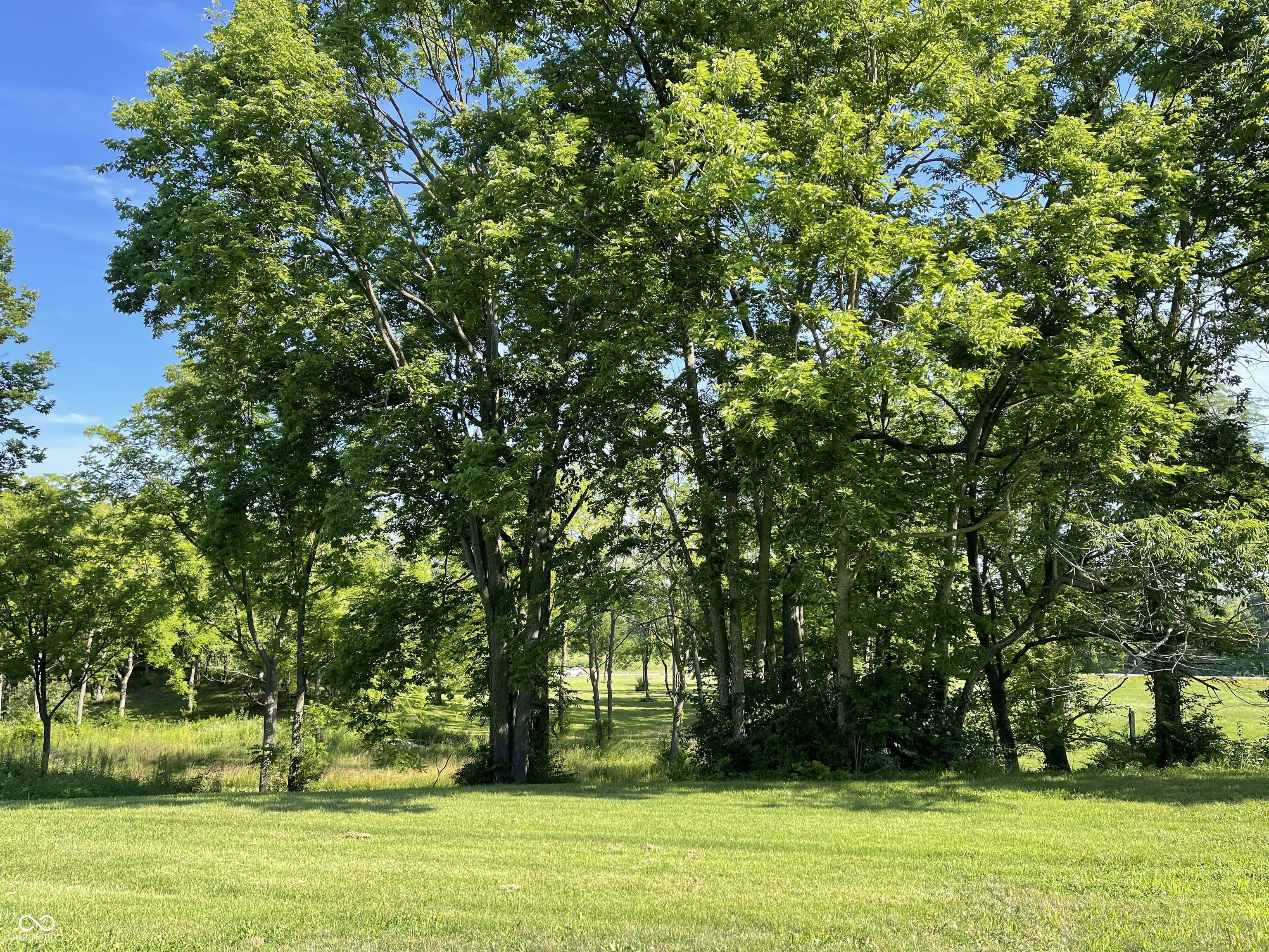 5586 Gibbs Road Plainfield, IN 46168 - Photo 2 of 7
