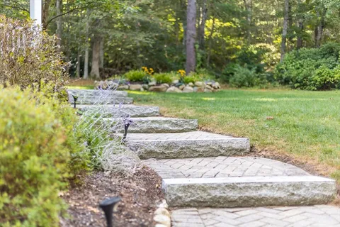 a view of a garden with tree