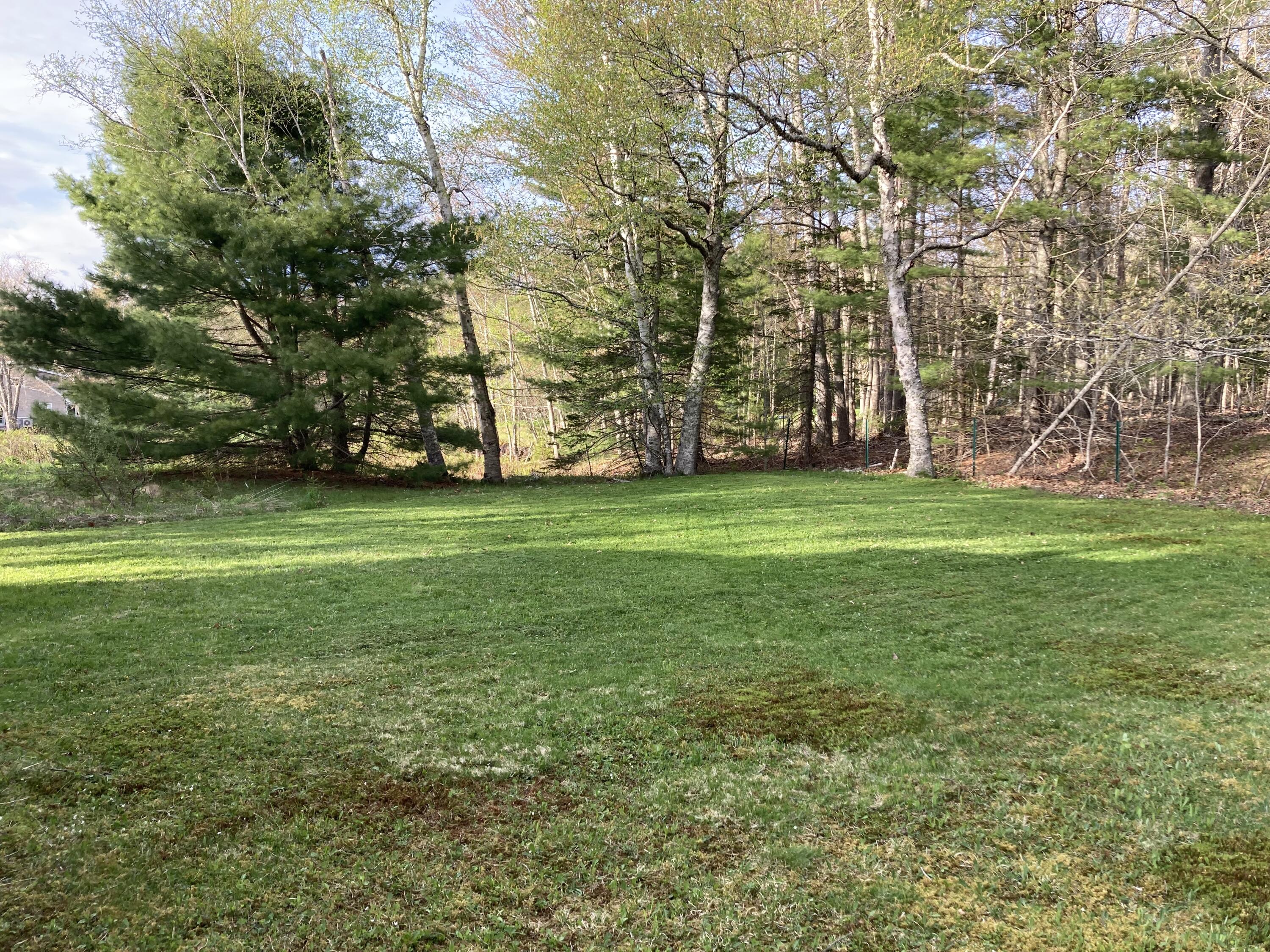 1 Francis Road Steuben, ME 04680 - Photo 25 of 30 Bayside yard area.