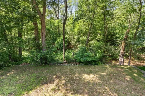 a view of a yard with a trees