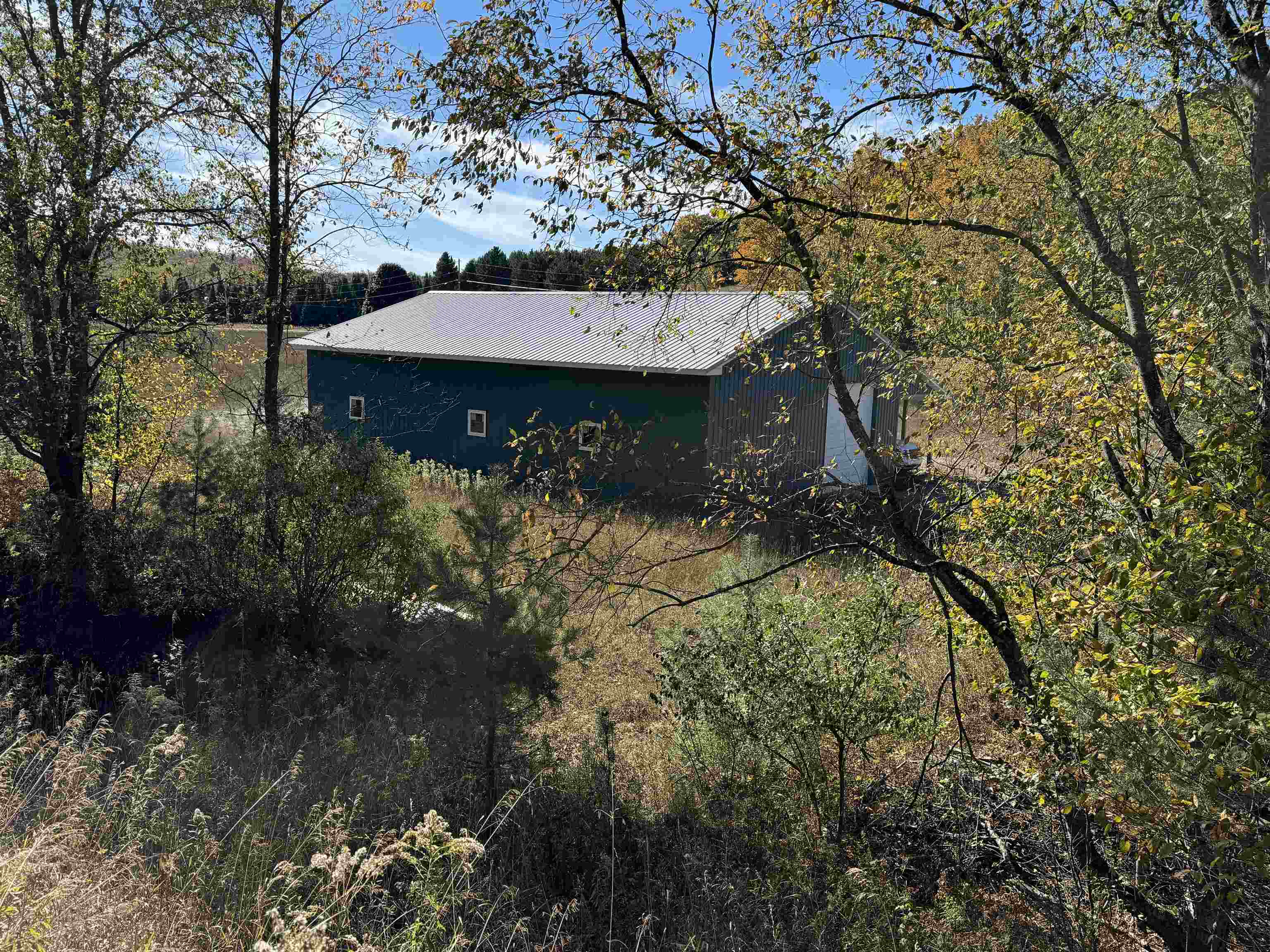 8335 South Tremain Road Maple City, MI 49664 - Photo 3 of 30