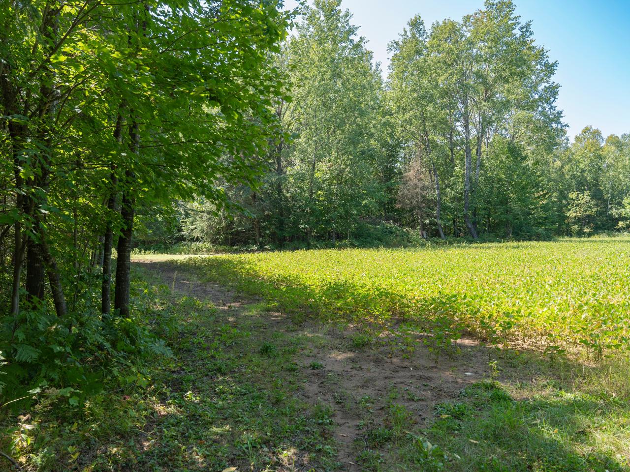 4164 North Popko Circle West Mercer, WI 54547 - Photo 51 of 60 Gallery Image 51