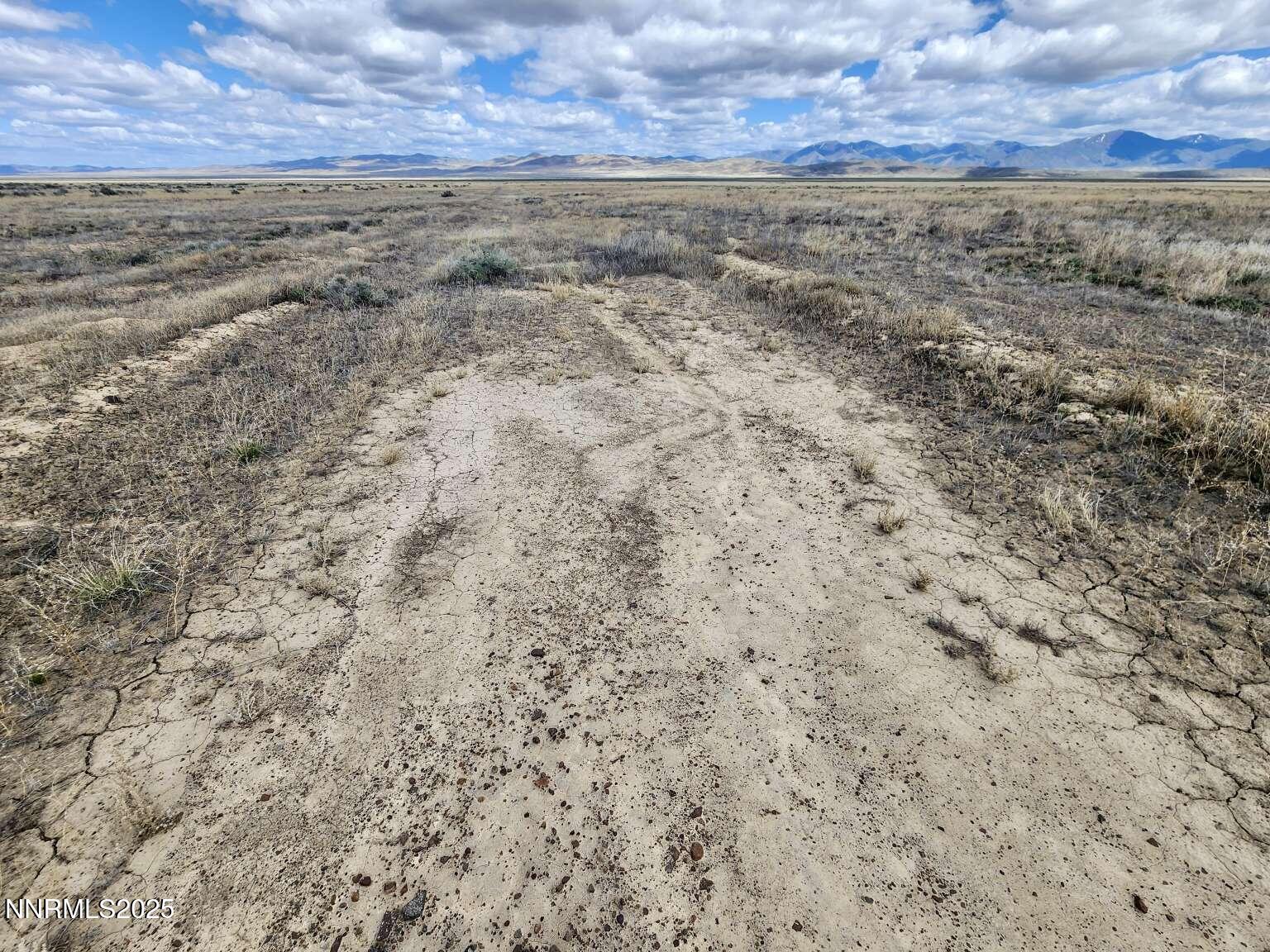 0 Crescent Ave Crescent Valley Crescent Valley, NV 89821 - Photo 13 of 23 a view of a dry yard with wooden floor