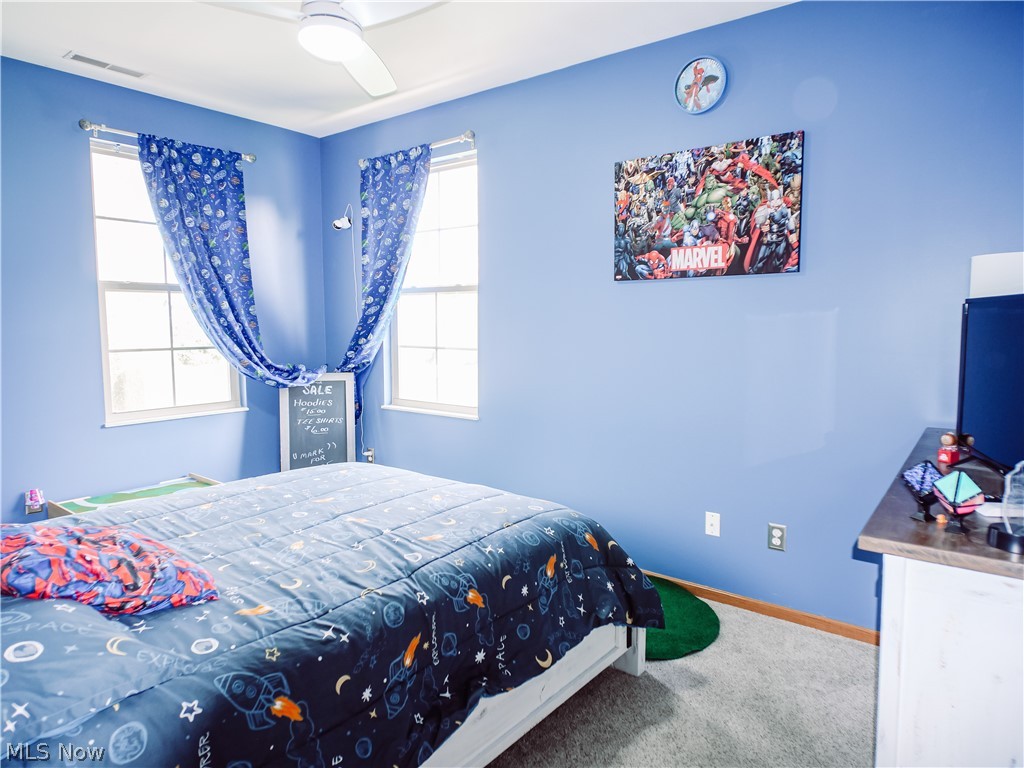 9151 Springfield Road, Unit 503 Youngstown, OH 44514 - Photo 9 of 19