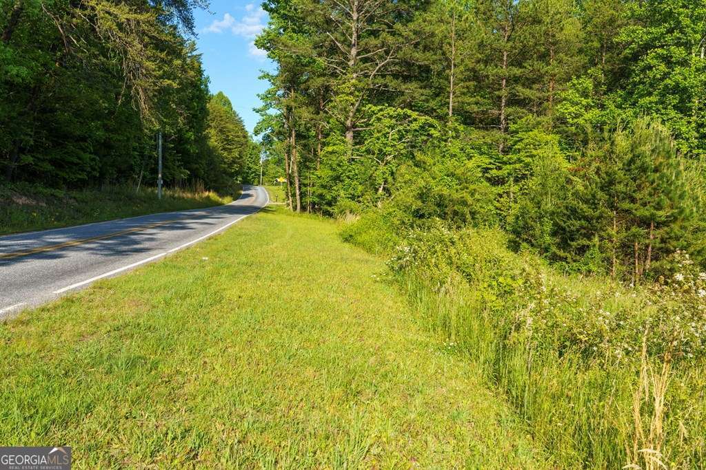 1 West Gum Log Road Warne, NC 28909 - Photo 16 of 26