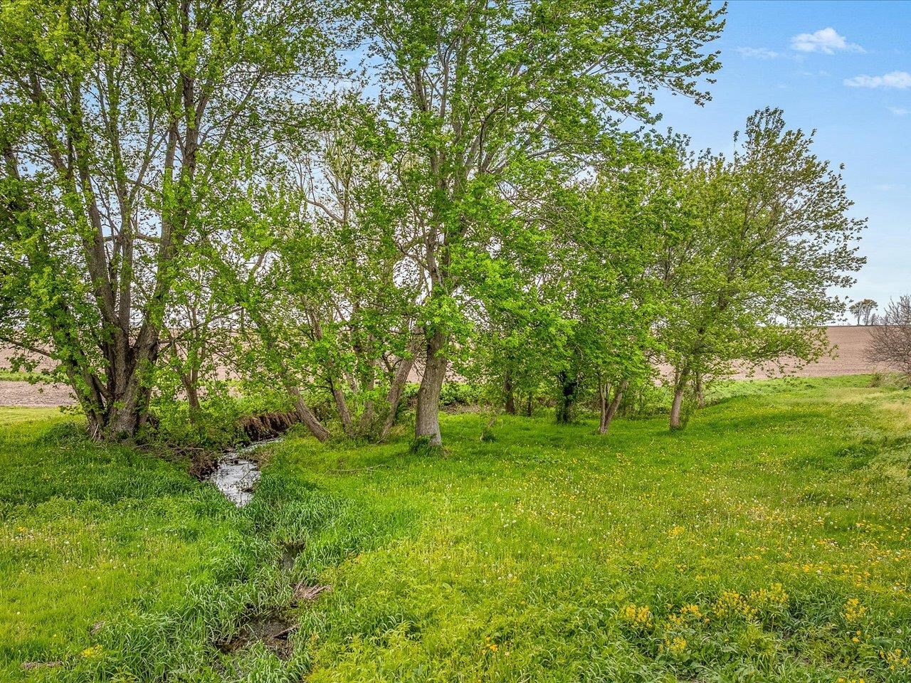 8548 East Edwardsville Road German Valley, IL 61039 - Photo 93 of 99 Gallery Image 93