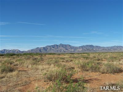 5196 East Philipps Road Willcox, AZ 85643 - Photo 8 of 16