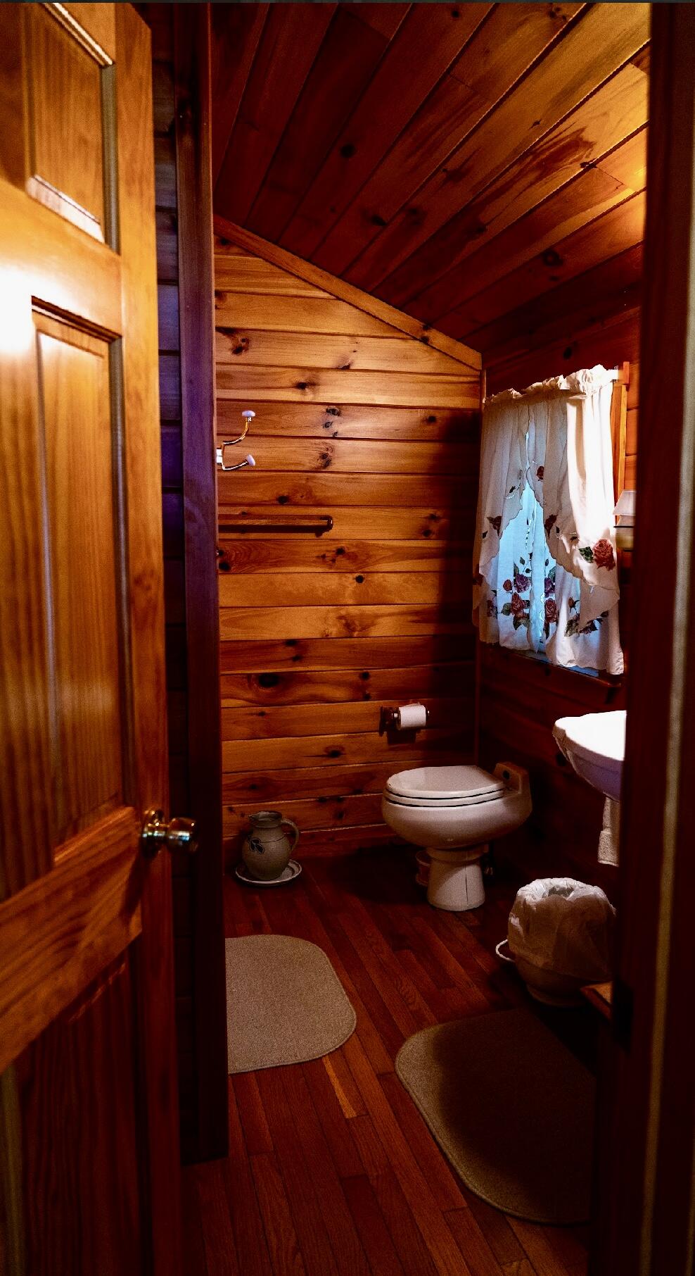 10 Phoebe Island Road Bowerbank, ME 04426 - Photo 31 of 51 IMG_0628