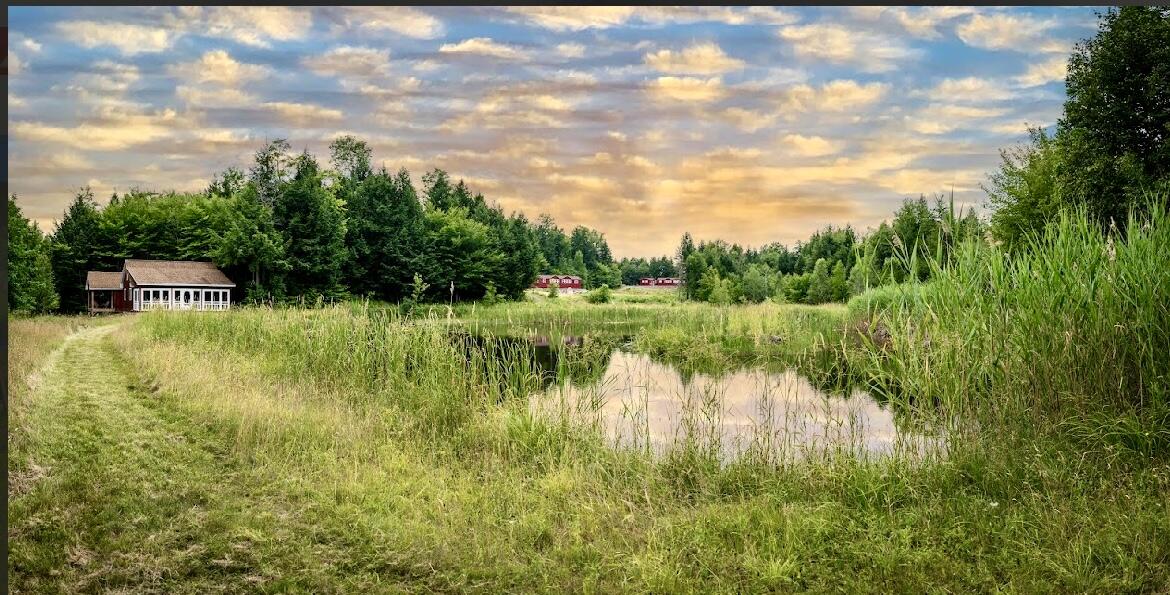 10 Phoebe Island Road Bowerbank, ME 04426 - Photo 4 of 51 IMG_0603